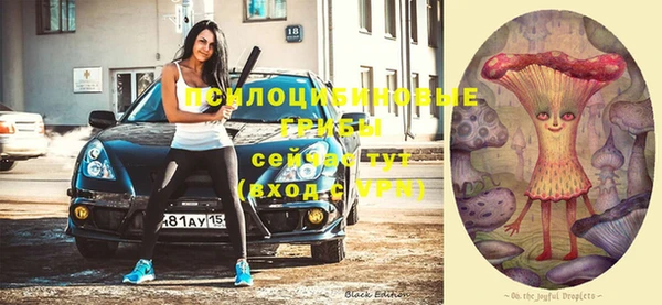 дмт Алексеевка