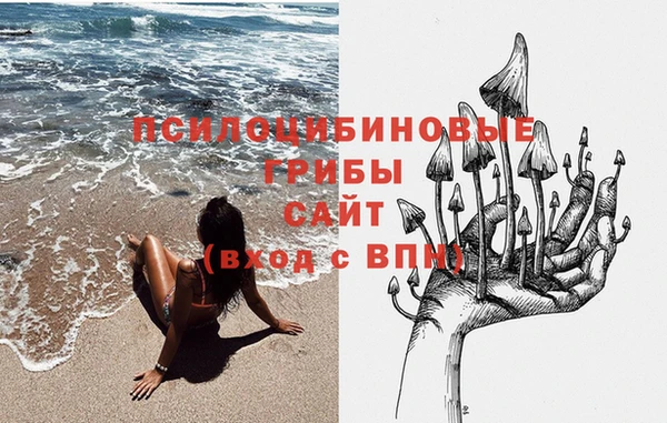 дмт Алексеевка
