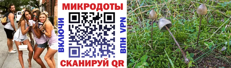 Псилоцибиновые грибы MAGIC MUSHROOMS  Северская 